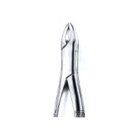  Extracting Forceps American Pattern